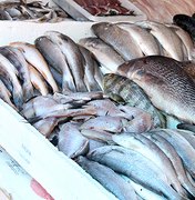 MP investiga fraude na aquisição de peixes para a população de Santana do Ipanema