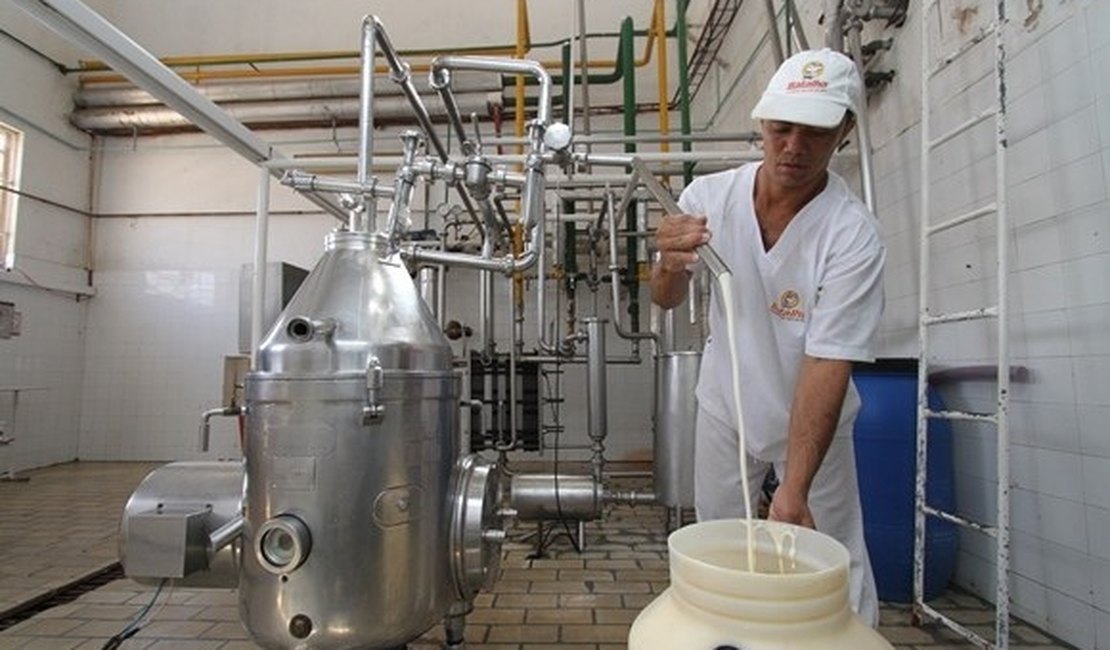 Usina de beneficiamento pode salvar cadeia produtiva do leite em Alagoas