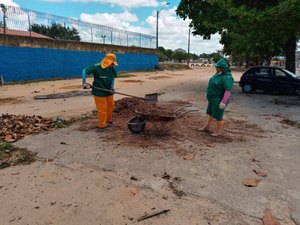Prefeitura irá plantar mais de 80 mudas na parte alta da cidade
