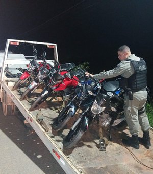 Operação Coiote apreende veículos irregulares no município de Porto Calvo