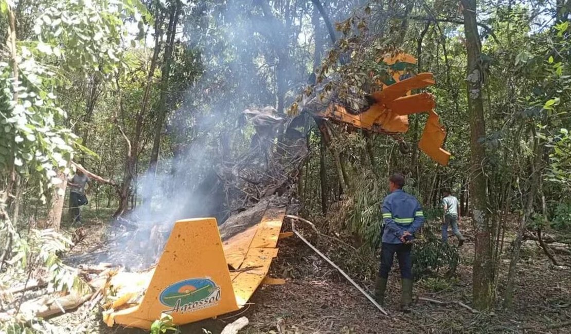 Avião monomotor cai em área de vegetação e pega fogo no interior de SP