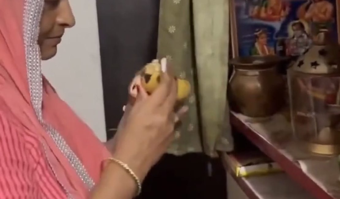 Mulher indiana viraliza após acreditar que Labubu é um 'Deus chinês'