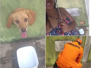 Bombeiros resgatam cãozinho preso em buraco