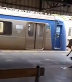 Bezerro invade estação no Rio de Janeiro e assusta passageiros