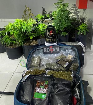 PM desarticula laboratório de drogas e localiza plantio de maconha na Barra Nova