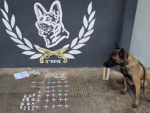 Polícia Militar apreende drogas com auxílio de cão farejador em Arapiraca