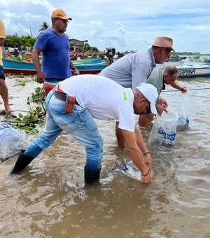 Peixamentos inserem espécies nativas no rio São Francisco durante Festa de Bom Jesus em Piaçabuçu Porto Real do Colégio