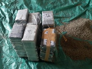 Apreensão de cocaína bate recorde em 2019