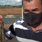 [Vídeo] Produtor de abacaxi investe da criação de camarão e cria associação para desenvolver atividade
