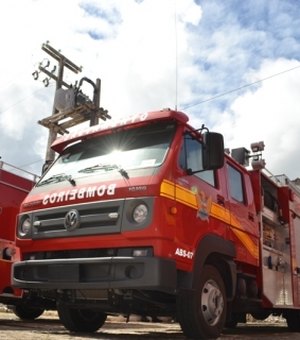 Bombeiros resgatam motorista de caminhão que colidiu em árvore em Arapiraca