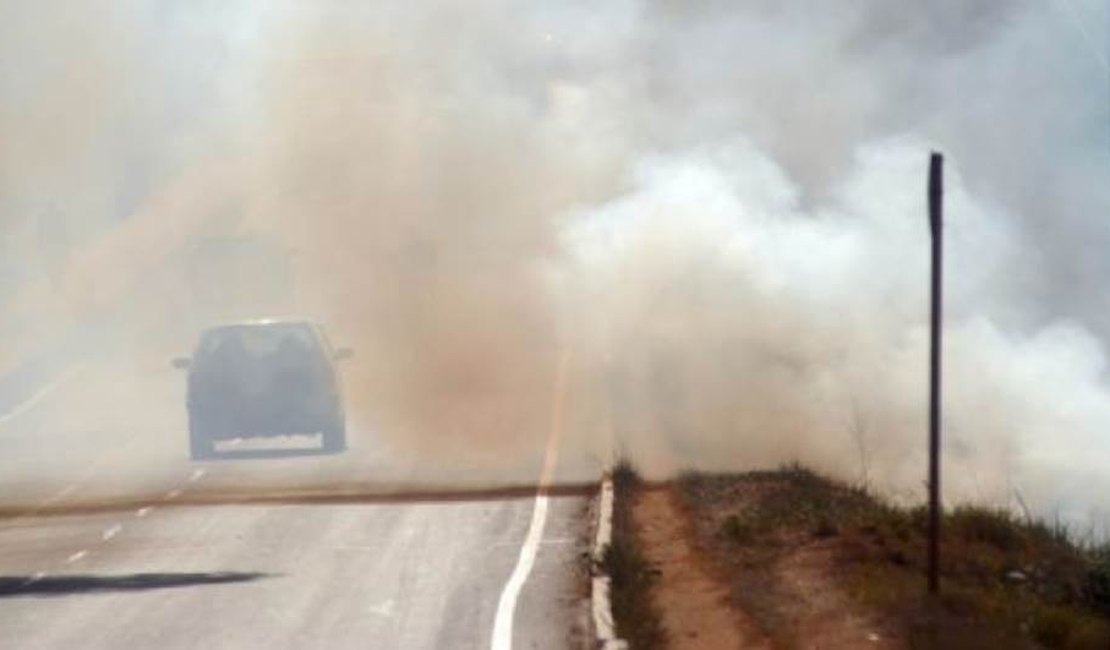 Incêndio em vegetação provoca interdição da BR-316, em Pilar
