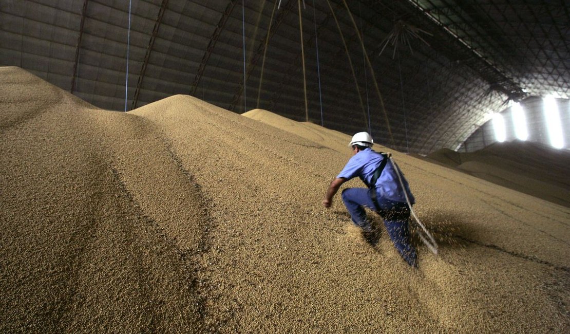 Conab: Brasil produzirá 265,9 milhões de toneladas de grãos