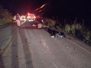 Motociclista morre após colidir contra cavalo na AL-210, em Capela