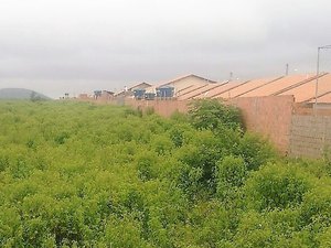 Terreno abandonado facilita roubos em residencial de Arapiraca