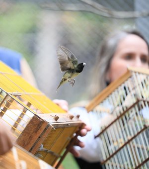 De volta à natureza: aves ganham liberdade no Dia da Consciência Negra