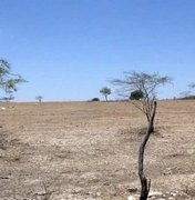Entenda por que Piranhas decretou emergência por estiagem após estragos por chuvas