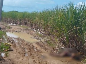 Mulher é encontrada morta em canavial no Benedito; sinais de violência