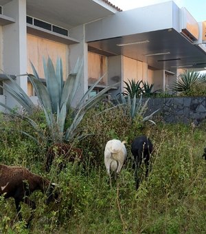 Ataques a agências bancárias deixam cidades pequenas sem bancos em Alagoas