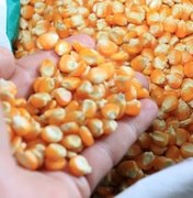 Estado planeja duplicar áreas plantadas com milho e soja em 2016
