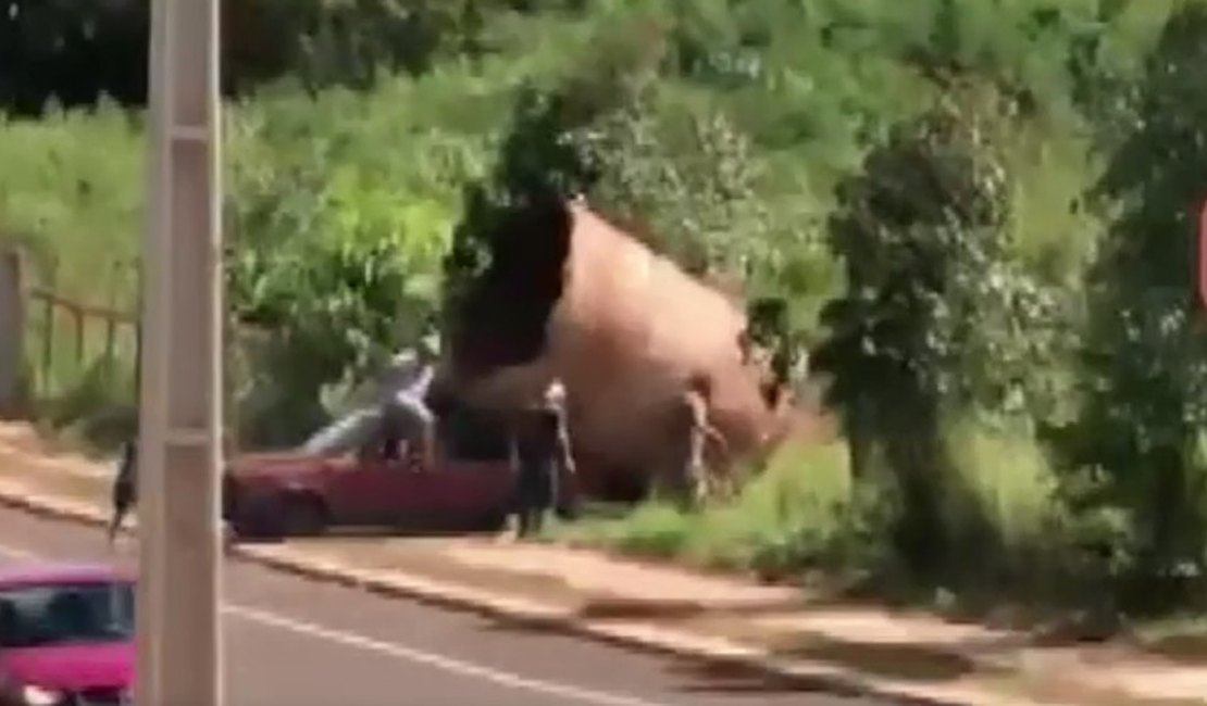 Cinco homens são detidos tentando furtar duto gigante, em Cascavel