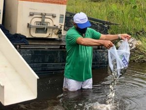 Lagoa do Povoado Murici recebe 70 mil peixes são inseridos em lagoa do povoado lagoa