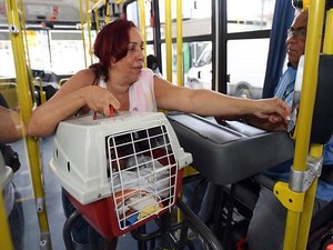 Proposta garante embarque de animais domésticos em todos os meios de transporte