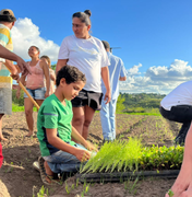 Implantação de horta urbana promove educação ambiental e proporciona segurança alimentar