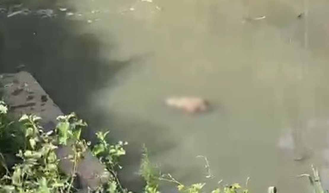 Corpo de homem é encontrado boiando em córrego no Vale do Reginaldo