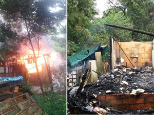 Onze cães morrem em incêndio provocado por ex-namorado da dona