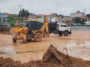 Modernização do Parque Ceci Cunha e Bosque das Arapiracas deve ser entregue ainda este ano