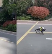 Cão-robô percorre ruas na China com megafone para reforçar lockdown; veja
