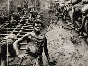 Misa recebe exposição Terra com fotografias de Sebastião Salgado