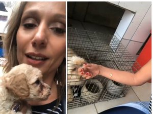 Luisa Mell resgata 1,5 mil animais em canil: 'Campo de concentração'