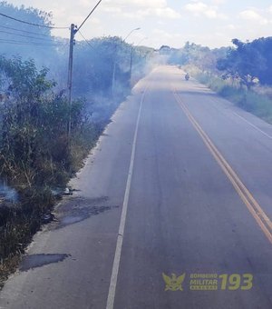 Incêndio em União dos Palmares prejudica visibilidade de motoristas