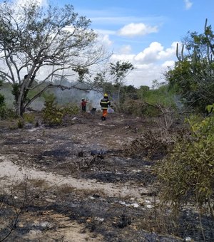 Vegetação pega fogo em Penedo e incêndio é controlado por Bombeiros