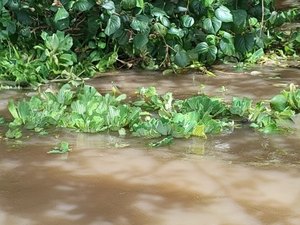 Corpo de idoso é encontrado às margens de lagoa em Santa Luzia do Norte
