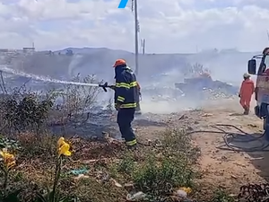 [Vídeo] Incêndio de grandes proporções em vegetação exige trabalho dos bombeiros em Palmeira dos Índios