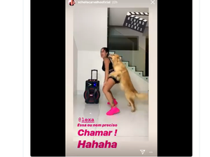 Scheila Carvalho esfrega o bumbum em cachorro e atitude gera polêmica