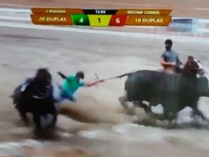 Em parque de vaquejada de PE, vaqueiro alagoano morre após ser arrastado e pisoteado por boi