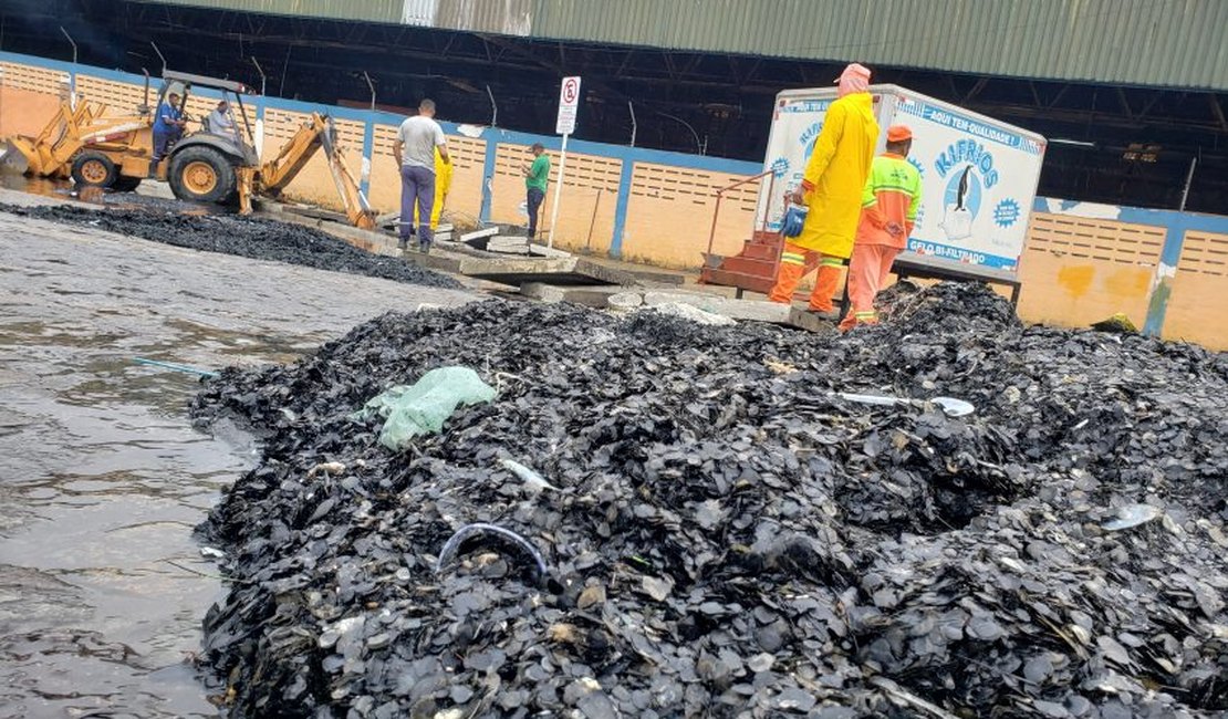 Mutirão de limpeza retira 25 toneladas de lixo do Mercado da Produção