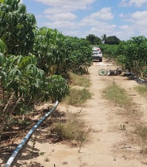 Cadáver do sexo masculino é encontrado nas imediações do Sítio Alazão, em Arapiraca