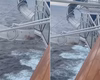 Passageira de navio de cruzeiro vive momento de terror ao ficar presa em toboágua suspenso no mar