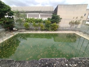 Moradores denunciam piscina abandonada com possível foco do mosquito da dengue em Arapiraca