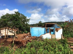 Chuvas derrubam casas em Palmeira dos Índios