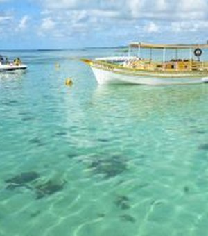 Recifes de Alagoas entram em projeto nacional de monitoramento e restauração ambiental