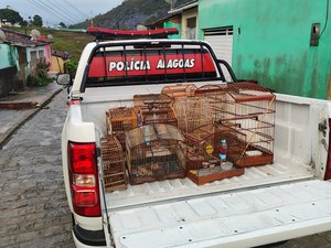 Homem é autuado com onze aves silvestres mantidas em cativeiro em Joaquim Gomes