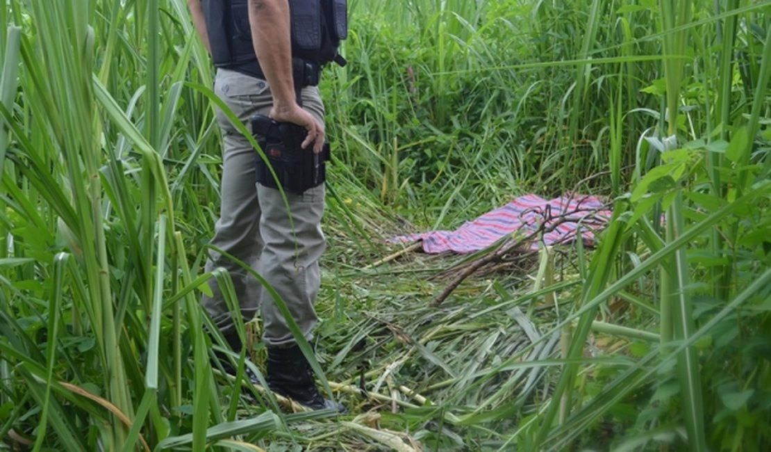 Corpo de mulher é encontrado com sinais de violência sexual