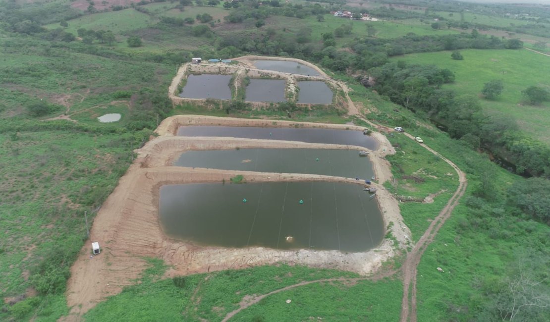 [Vídeo] Fiscalização autua fazenda de cultivo de camarões por irregularidades em Igaci