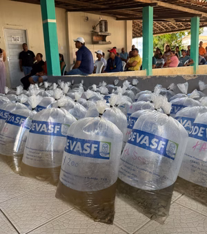 Criação de peixe em tanques escavados gera emprego e renda para agricultores penedenses