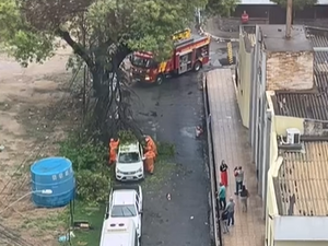 [Vídeo] Árvore desaba sobre carro estacionado no bairro da Jatiúca, em Maceió